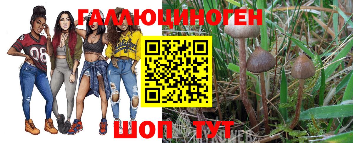 Галлюциногенные грибы мухоморы  Галлюциногенные грибы мухоморы  Муравленко  купить наркотики цена  Вход с VPN 